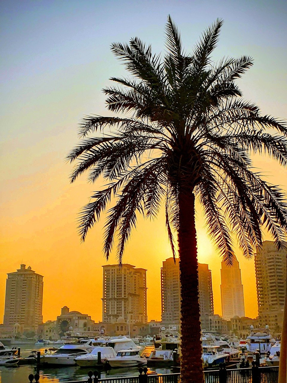 doha, sunset, qatar, palmtree, sky, boat, doha, doha, doha, qatar, qatar, qatar, qatar, qatar, palmtree, palmtree
